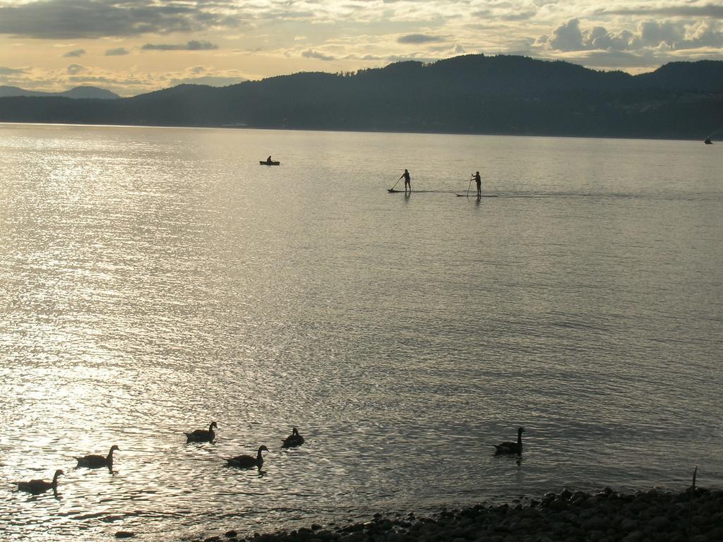 Davis Bay Bed & Breakfast Sechelt Buitenkant foto